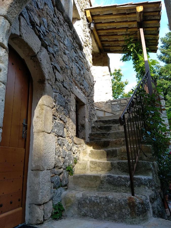 Les Chataigniers Gites Du Mas Haut Saint-Jean-du-Gard Esterno foto